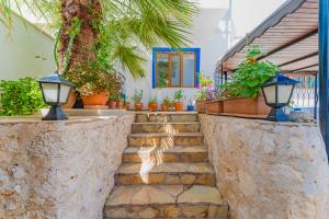 A garden outside Pazar Apartments