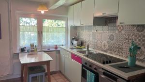 a kitchen with a sink and a counter top at Min lütt hütt in Rieseby