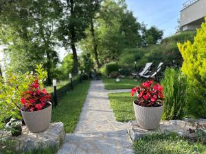 two flower pots with red flowers in a garden at Golden Sunset Apartments in Ohrid