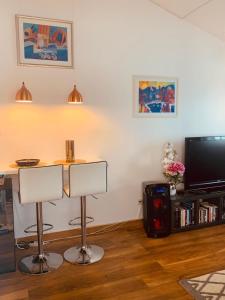 Μια τηλεόραση ή/και κέντρο ψυχαγωγίας στο Olive Tree Apartment