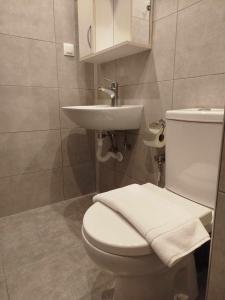 a bathroom with a white toilet and a sink at Billy´s Seaside Apartment in Iraklitsa +5 photos