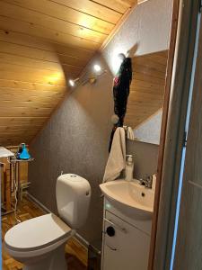 a small bathroom with a toilet and a sink at Pod Magnolią in Targanice