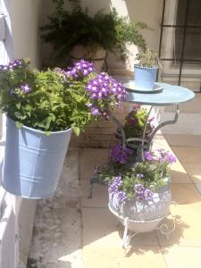 Vonkajšia záhrada v ubytovaní Olyna’s Apartment N.S Preveza