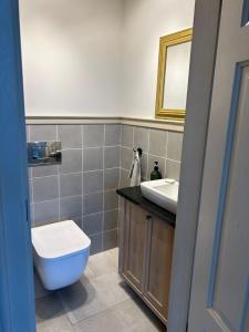 a bathroom with a sink and a toilet and a mirror at Nadbużański Świt Granne in Perlejewo