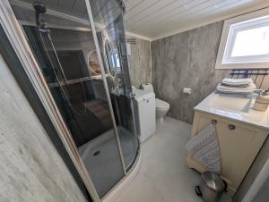 a small bathroom with a shower and a toilet at Cabin magic on Senja, atmosphere like a fairytale in Botnhamn