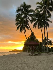 un groupe de palmiers sur une plage avec un coucher de soleil dans l'établissement Villa Serenity welcomes you, à Pacific Harbour