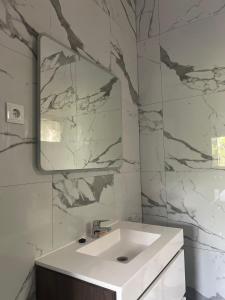 uma casa de banho com um lavatório branco e um espelho. em Canafistra Prestige Villa em Plaque