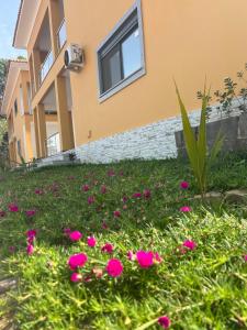 a house with pink flowers in front of it at Canafistra Prestige Villa in Plaque