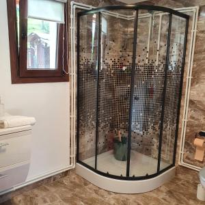 una doccia con cabina in vetro in bagno di Casa Tiron(Pai) a Gura Humorului