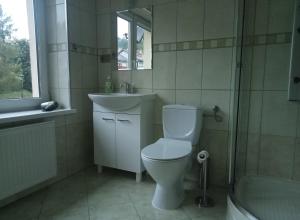 een badkamer met een toilet, een wastafel en een douche bij Pokoje gościnne Norbu in Kudowa-Zdrój