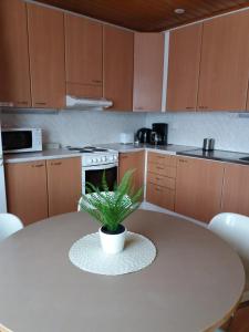 Una cocina con una mesa con una planta encima. en Tuulanmajoitus, en Mänttä