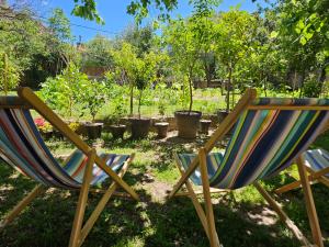 two lawn chairs sitting in a garden with trees at Chambre d'hôtes Les Berges de l'Aude - B&B - Proche Canal du midi & Carcassonne in Puicheric