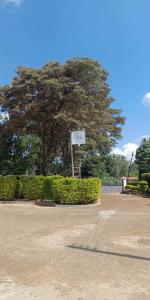 a street sign in front of a large tree at The Yala Home in Eldoret