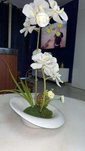 una flor blanca en un tazón blanco sobre una mesa en Suite jacuzzi "spa privatif " appartement Jacuzzi, en Toulouse