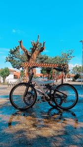 Una bicicleta estacionada en el agua junto a un árbol en Pousada Villa do Mar, en Itaparica