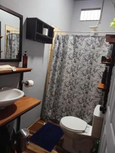 a bathroom with a toilet and a shower curtain at Bungalow Batsù in Fortuna