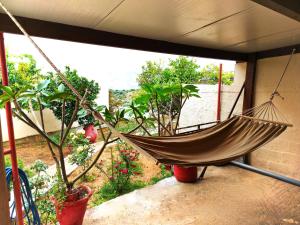 a hammock hanging from a porch with plants at Village house with a nice garden in Stérnai