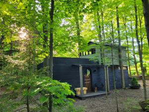 a blue house in the middle of a forest at Black Pine Tree House in Acton