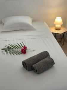 Letto o letti in una camera di Sur La Mer - Appartement Deux chambres à Schoelcher