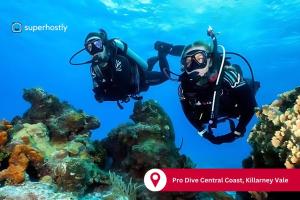 Billede fra billedgalleriet på Summer Lakefront Bliss and Pool i Lake Munmorah + 41 billeder