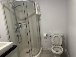 een badkamer met een douche, een toilet en een wastafel bij Refuge urbain à Beauport in Québec
