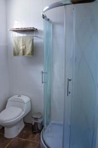 a bathroom with a toilet and a glass shower at La Chacana Hotel Boutique in Huaraz
