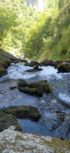 una corriente de agua con rocas y árboles en Family owned self sufficient ECO farm TARA en Pljevlja