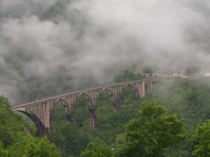 Un tren que cruza un puente en el bosque en Family owned self sufficient ECO farm TARA, en Pljevlja