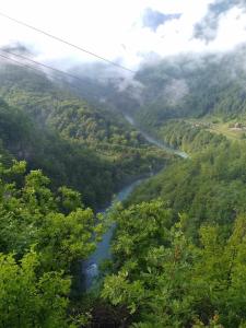 Blick auf einen Fluss in einem Tal mit Bäumen in der Unterkunft Family owned self sufficient ECO farm TARA in Pljevlja