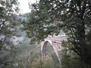 uma ponte no meio de uma floresta com árvores em Family owned self sufficient ECO farm TARA em Pljevlja