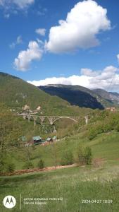un puente sobre una colina con un campo verde en Family owned self sufficient ECO farm TARA en Pljevlja