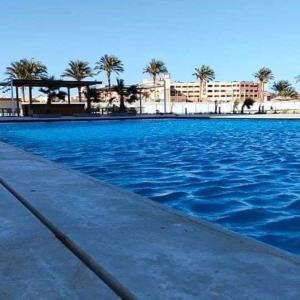 a large swimming pool with blue water and palm trees at Scandic beach resort in Hurghada