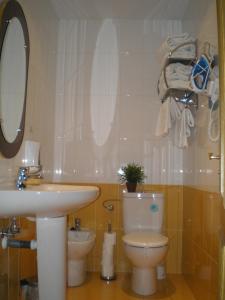 łazienka z toaletą i umywalką w obiekcie Apartamentos Turísticos Reyes Católicos w Saragossie