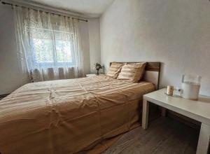 een slaapkamer met een groot bed en een raam bij Beli Dvor na Dunavu in Kovin