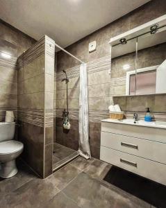 een badkamer met een douche, een toilet en een wastafel bij Beli Dvor na Dunavu in Kovin