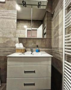 een badkamer met een wastafel en een spiegel bij Beli Dvor na Dunavu in Kovin