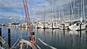a bunch of boats docked in a harbor at Ferienwohnung Kleine Auszeit Nr 4 in Maasholm