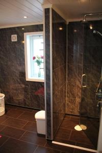 a bathroom with a shower with a toilet and a window at Fjordhytte-13 in Ænes +29 photos