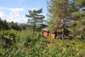 un vagón de tren en medio de un bosque en Fjordhytte-38 bei Rosendal am Hardangerfjord, en Rosendal