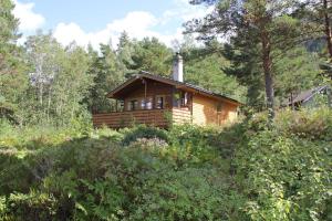 una cabina in legno in mezzo a una foresta di Fjordhytte-39 am Hardangerfjord, Motorboot mietbar a Rosendal