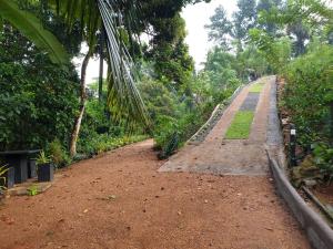 un camino de tierra con una palmera en un bosque en Water Pearl, Kosgama, Seetawaka, en Kosgama