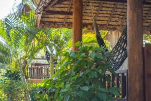 a hammock in the middle of a garden at The Nest House in Pai