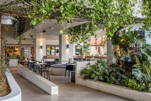 a restaurant with plants hanging from the ceiling at Avalon Resort Maroochydore in Maroochydore