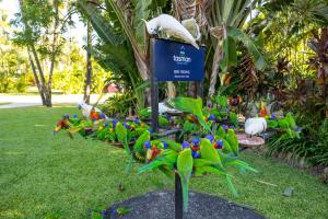 a group of colorful birds sitting on the grass at Tasman Holiday Parks - Airlie Beach in Airlie Beach
