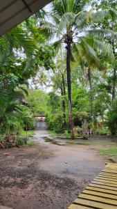 GREEN FINCH LAKE VIEW GARDEN RESIDENCY في شاطئ شيراي: نخلة في وسط ممر