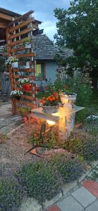 Billede fra billedgalleriet på An-Du resort Stara Moravica 2 i Stara Moravica