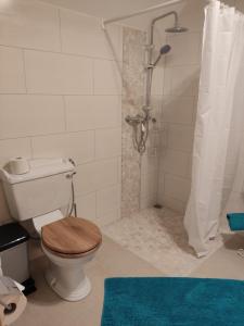 ein Badezimmer mit einem WC und einer Dusche mit einem Holzsitz in der Unterkunft Inspektorenhaus Dobbin Ferienpension in Linstow