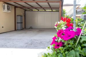 Zahrada ubytování Villa Mimosa