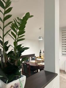una sala da pranzo con tavolo e pianta in vaso di Apartman Gold lux 2 a Surčin
