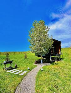 皮亞特拉尼亞姆茨的住宿－NOIA Loft，田野中间的树,有帐篷